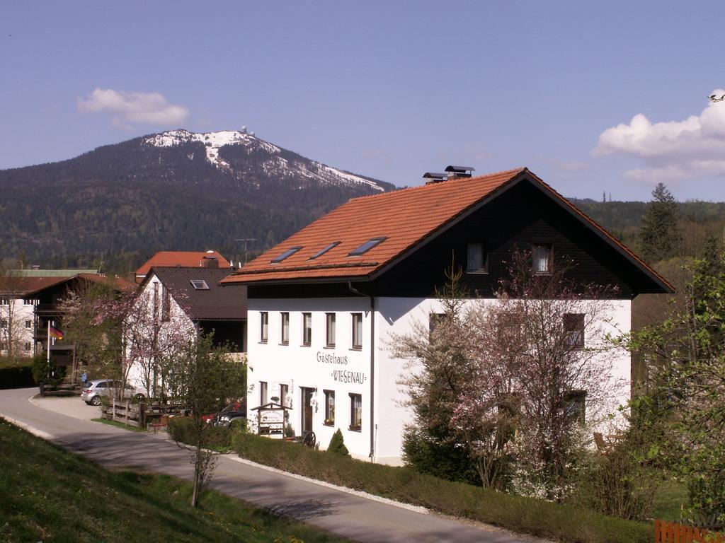 Pension Wiesenau Bayerisch Eisenstein Exteriér fotografie